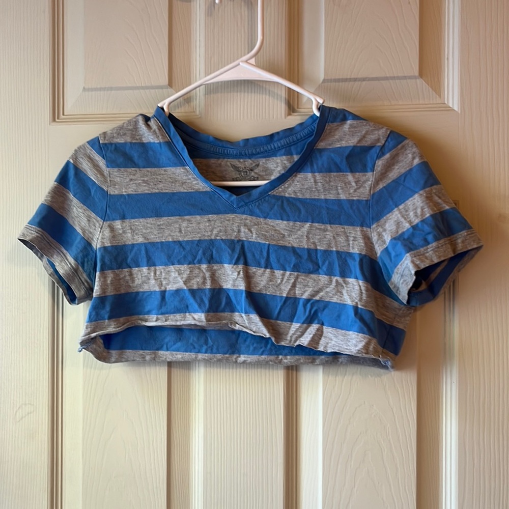 blue and grey striped crop top
